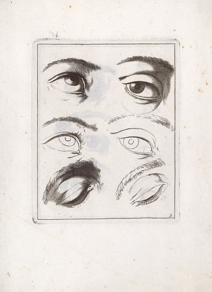 Imagen de Juan Barcelón, Cartilla para aprender a dibuxar sacada por las Obras de Joseph de Rivera llamado (bulgarm.te) el Españoleto, Madrid, 1772. Cerv/816